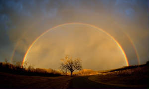 rainbow.JPG